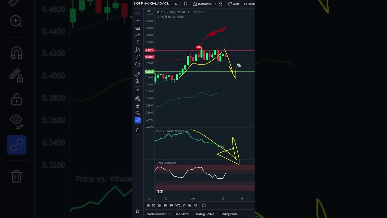 XRP Holds After SEC Ruling!! But Whales To CRASH -8.35%? | Ripple Price Prediction