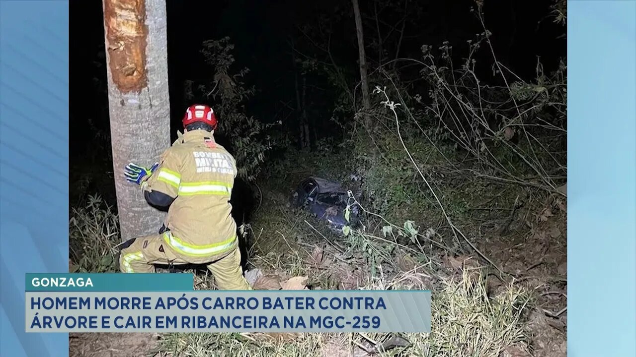 Gonzaga: Homem morre após carro bater contra árvore e cair em ribanceira na MGC-259.