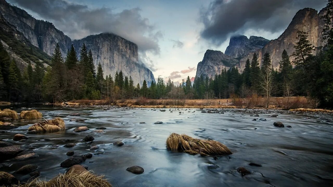 Yardism Live 7-11-22