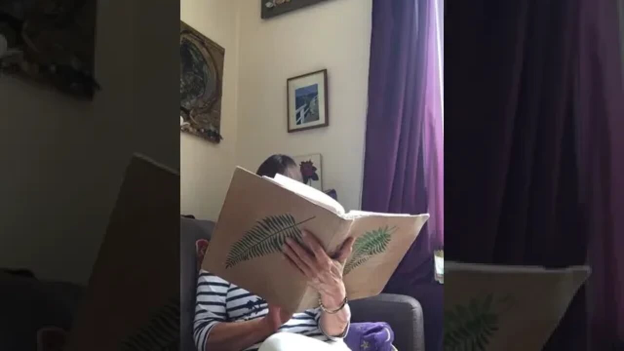 "Lydia" 31 und 32tes Kapitel - Buch 2
