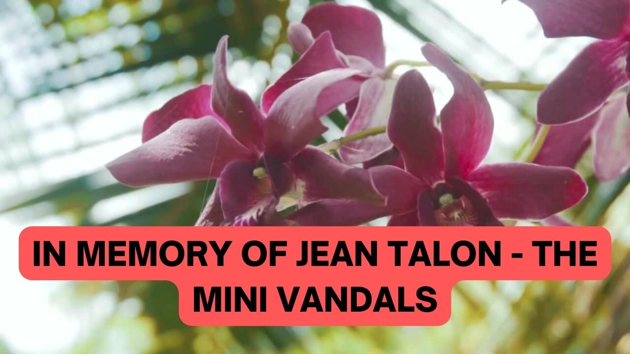 In memory of Jean Talon - The Mini Vandals