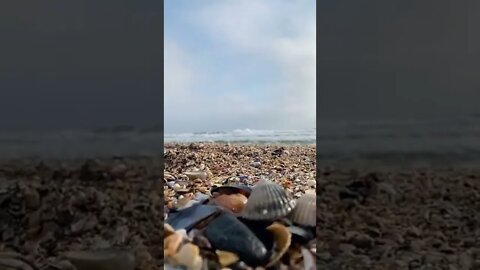 ЛЕТО И МОРЕЕЕ / summer / sea sound / sound nature #shorts