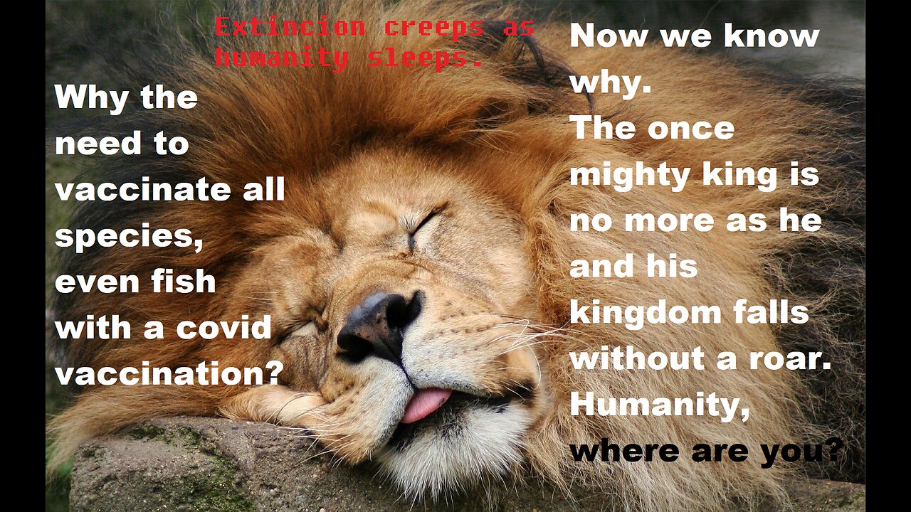 Vaccinated Lion spins and dies in terror, Be warned. Links x2.