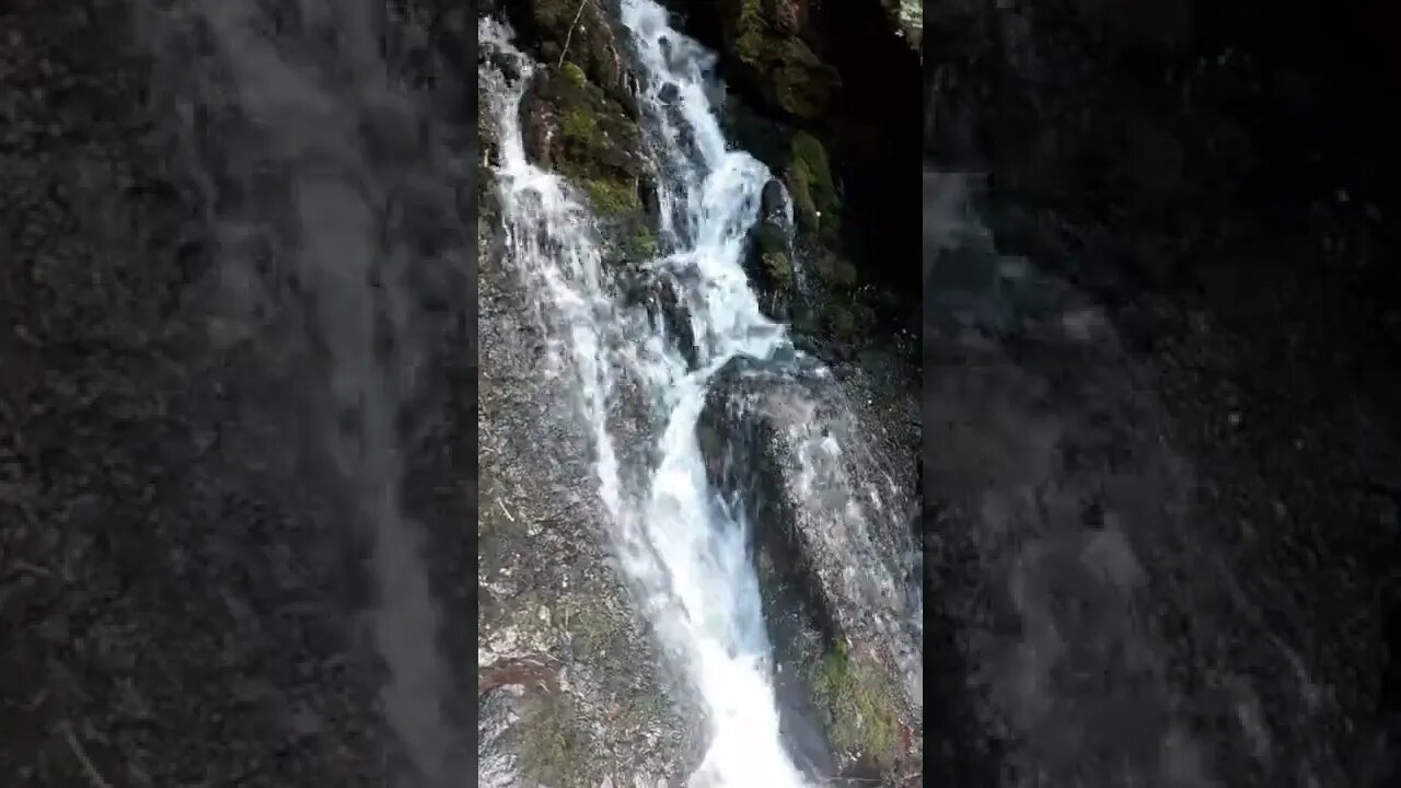 İNSAN BAKTIKÇA SERİNLİYOR.