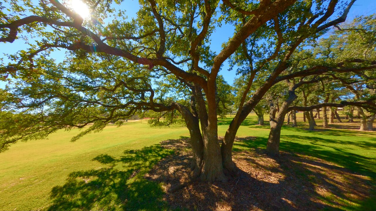 12/29/23, Austin Cinematic FPV