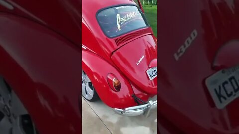 Fusca Abel