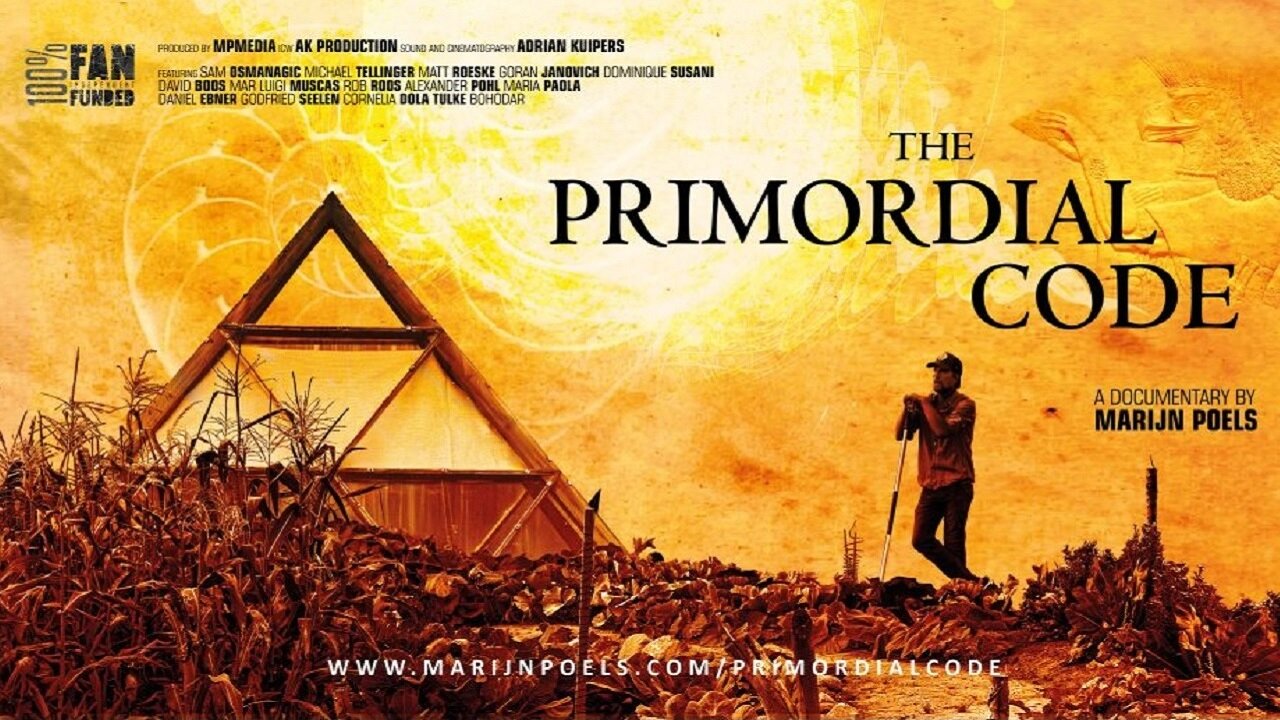 The Primordial Code by Marijn Poels