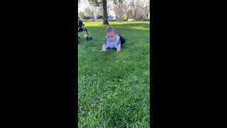 Baby crawls on grass for the first time