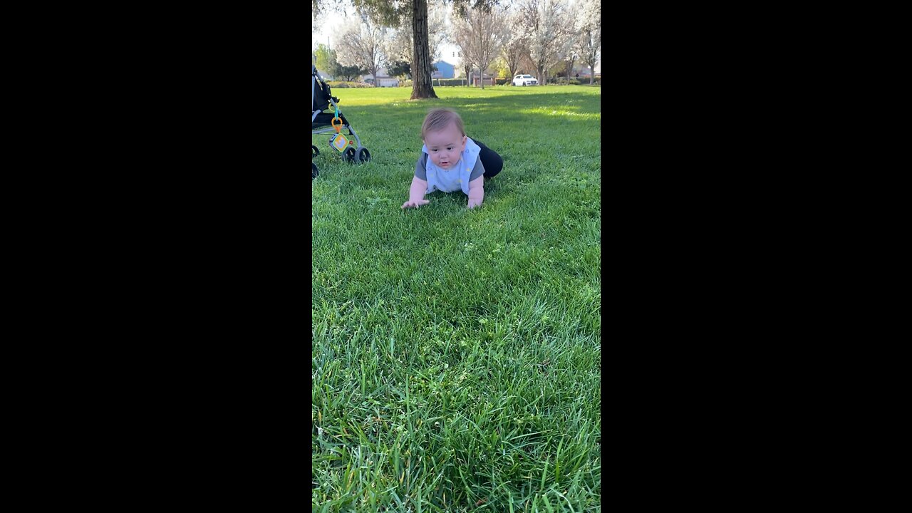 Baby crawls on grass for the first time