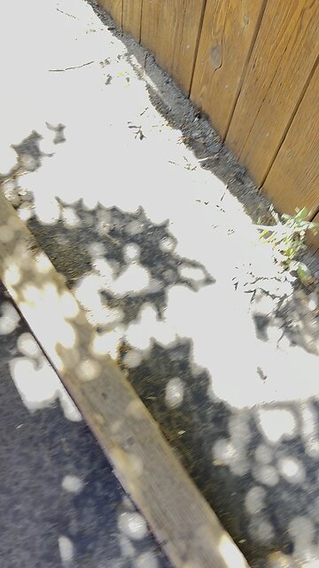 The RV Park #KielyRodni