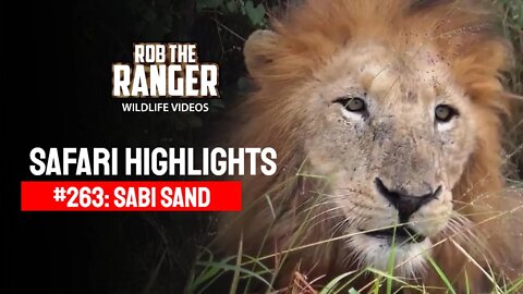 Safari Highlights #263: 10 - 13 April 2014 | Sabi Sand Nature Reserve | Latest Wildlife Sightings