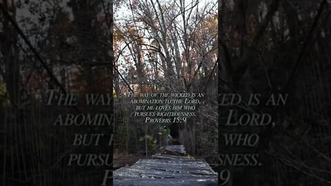 Proverbs 15:9 #way #wicked #abomination #lord #love #righteousness #Bible #jesus #christian #shorts