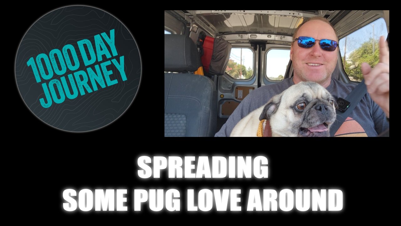 1000 Day Journey 0367 Spreading Some Pug Love Around