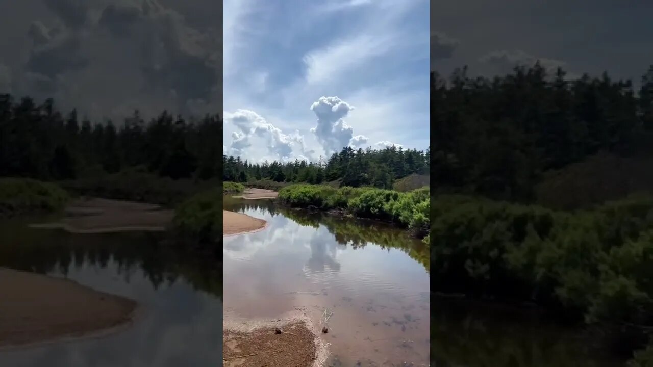Beautiful sky at the beach