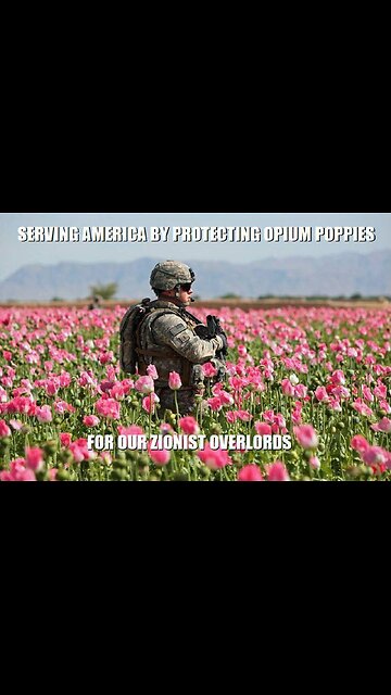 ⛔️Malaria, Dengue Fever, Hepatitis, HIV and Ebola are just some of the infection agents,