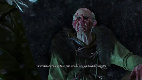 Witcher 3: Wild Hunt Live Gameplay 4