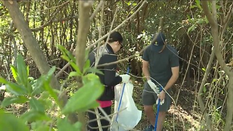 Hundreds of volunteers participate in Great Port Clean-up on Earth Day