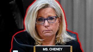 Liz Cheney lost a DEMOCRATIC election and DEMOCRATS are freaking out about the state of DEMOCRACY