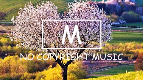 Mulle - Where To Go?!（Mm No Copyright Music）
