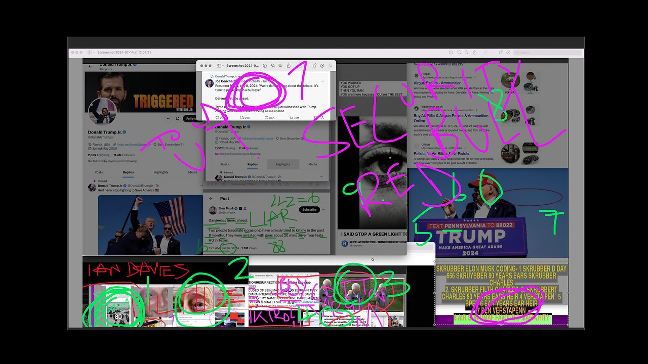 VIDEO 173B HIGH RES - UPDATE 16 203517072024UPDAte 15 criminal damage 124217072024UpDATE 14 SKRUBBER PEEKET AGAIN 074617062024 ELON MUSK USES THE ASSASSINATION ATTEMPT OF DONALD TRUMP TO CODE