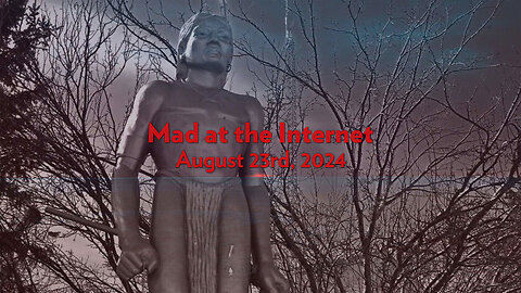 The Omnibussin' (August 23rd, 2024) - Mad at the Internet
