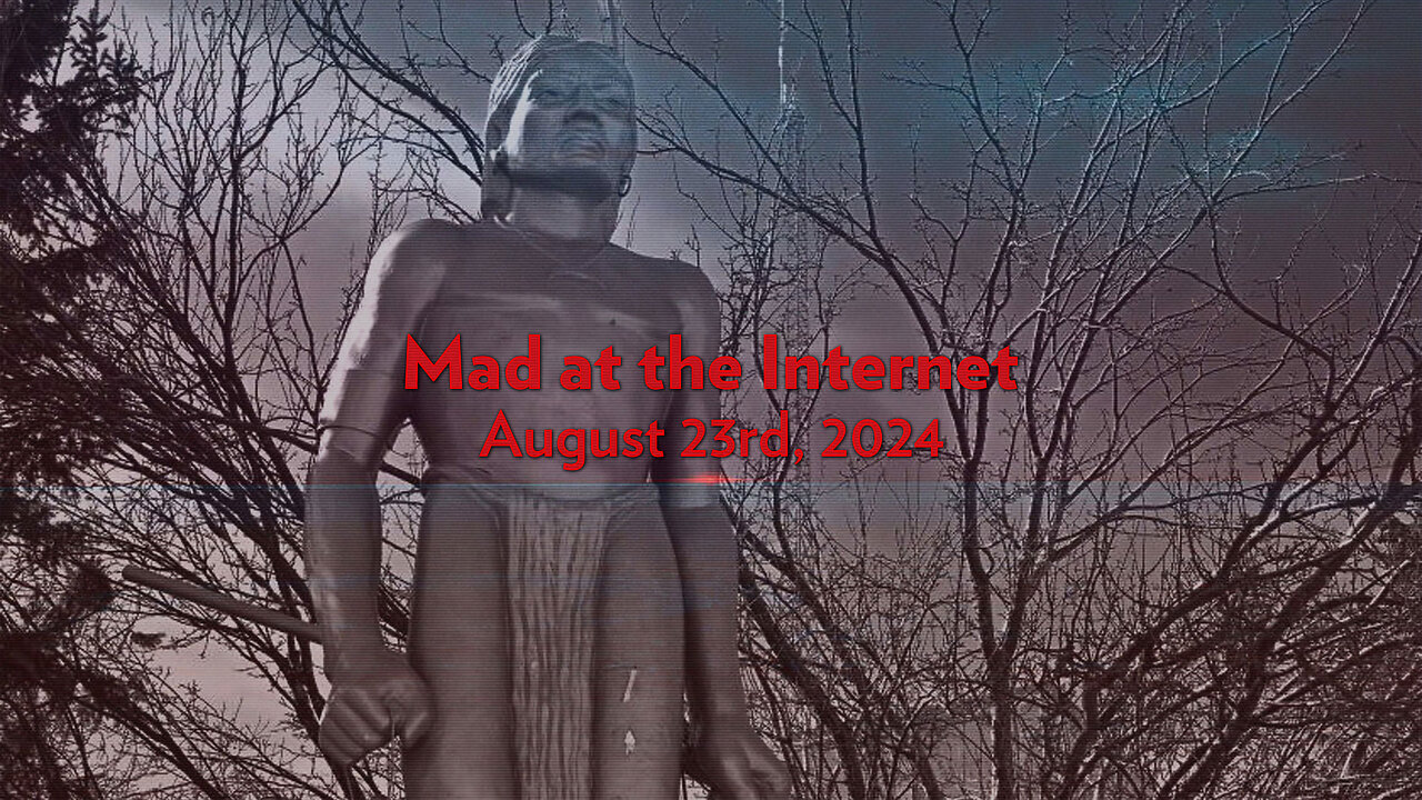 The Omnibussin' (August 23rd, 2024) - Mad at the Internet