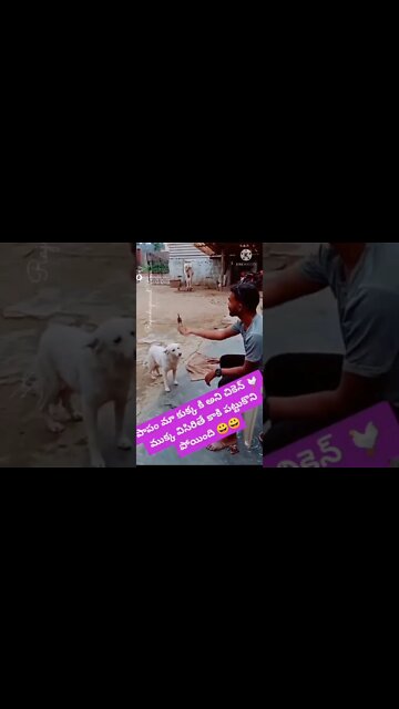 Must Watch Comedy Video today, New Amazing Funny Video 2022, Amazing Video Funny #short #comedy