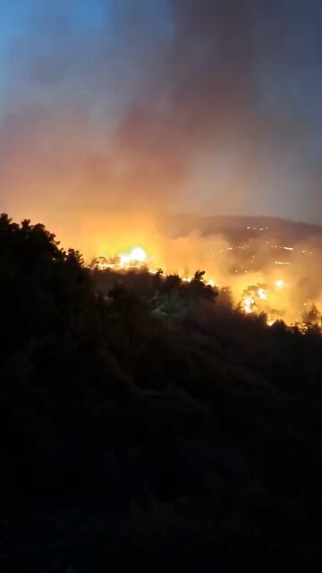 In Greece, forest fires crept up to residential areas this night.