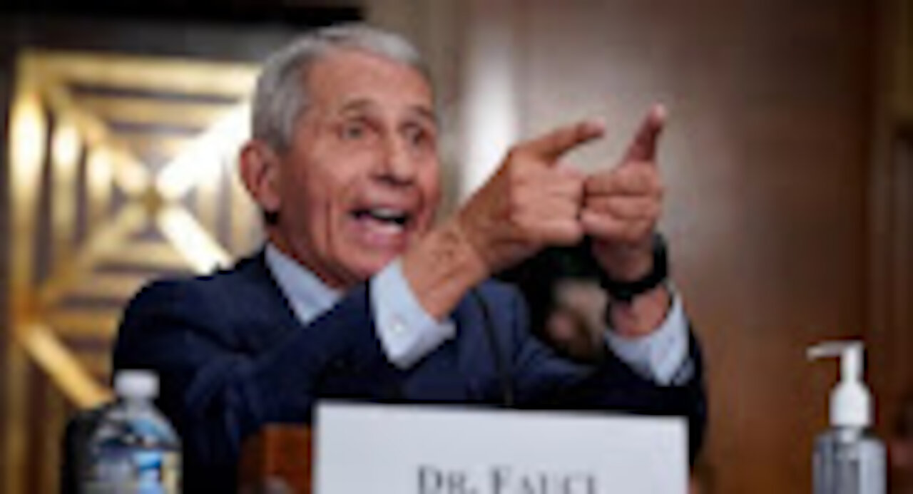 Fauci Goes Batsh*t After Senator Shows He Backed Funding for Wuhan Animal-to-Human Virus Research