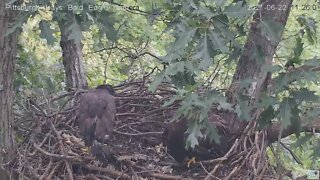 Hays Eagles Juvenile H15's hipitty hop steal 2021 06 22 11:25