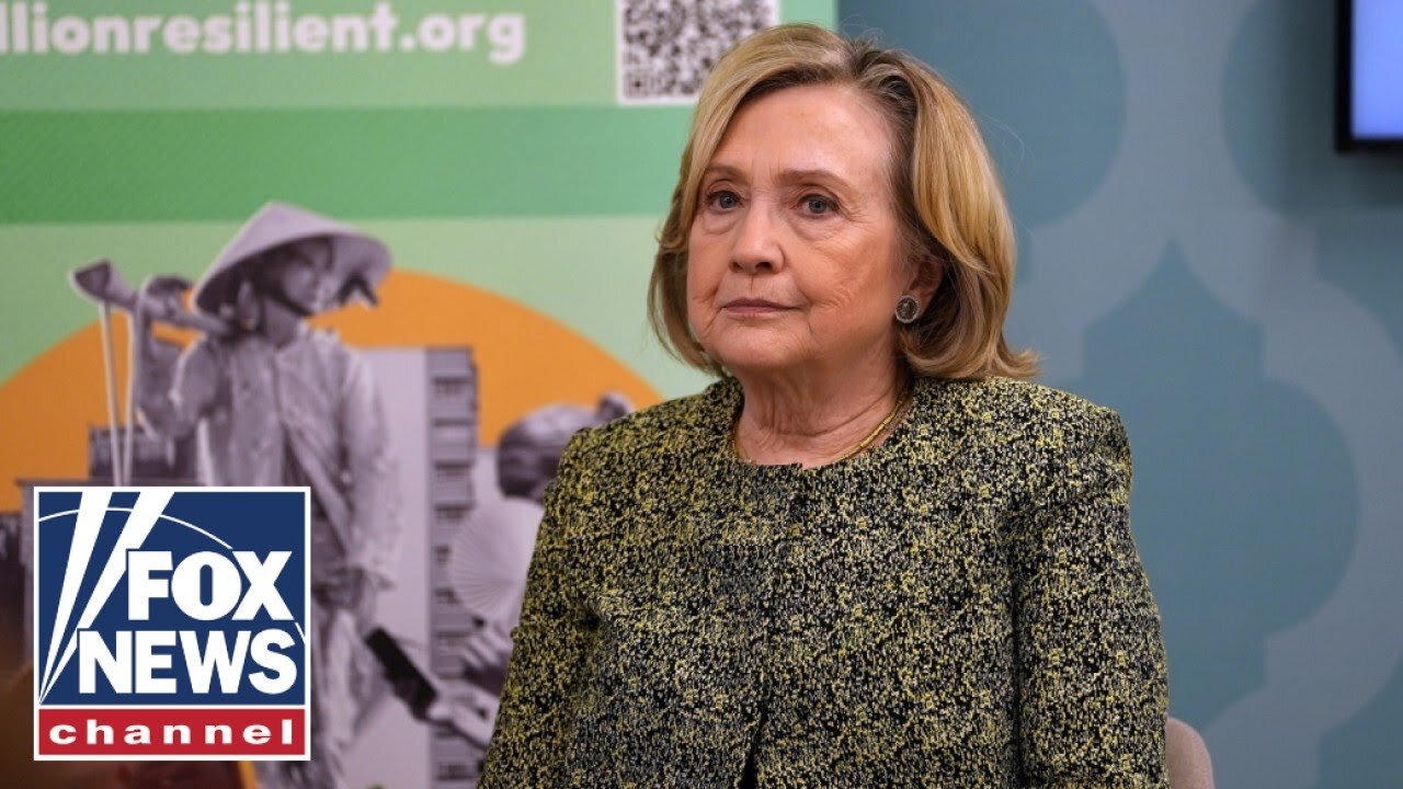 'EIGHT YEAR PUBLIC THERAPY TOUR': Hillary Clinton blames new demographic for 2016 loss