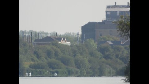 The River Great Ouse Relief Channel @ Stowbridge