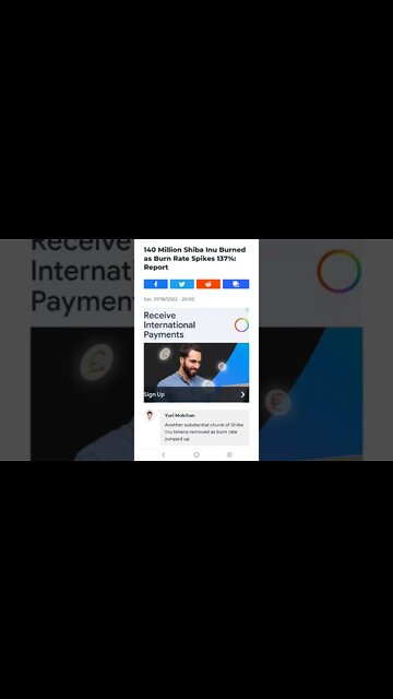 140 Million Shiba Inu Burned, In The Past 24 Hours #cryptomash #cryptomashnews #cryptonews