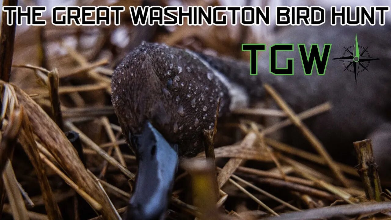 Episode 25: The Great Washington Bird Hunt Sizzle Promo