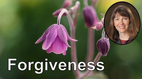 Self Forgiveness Guided Meditation