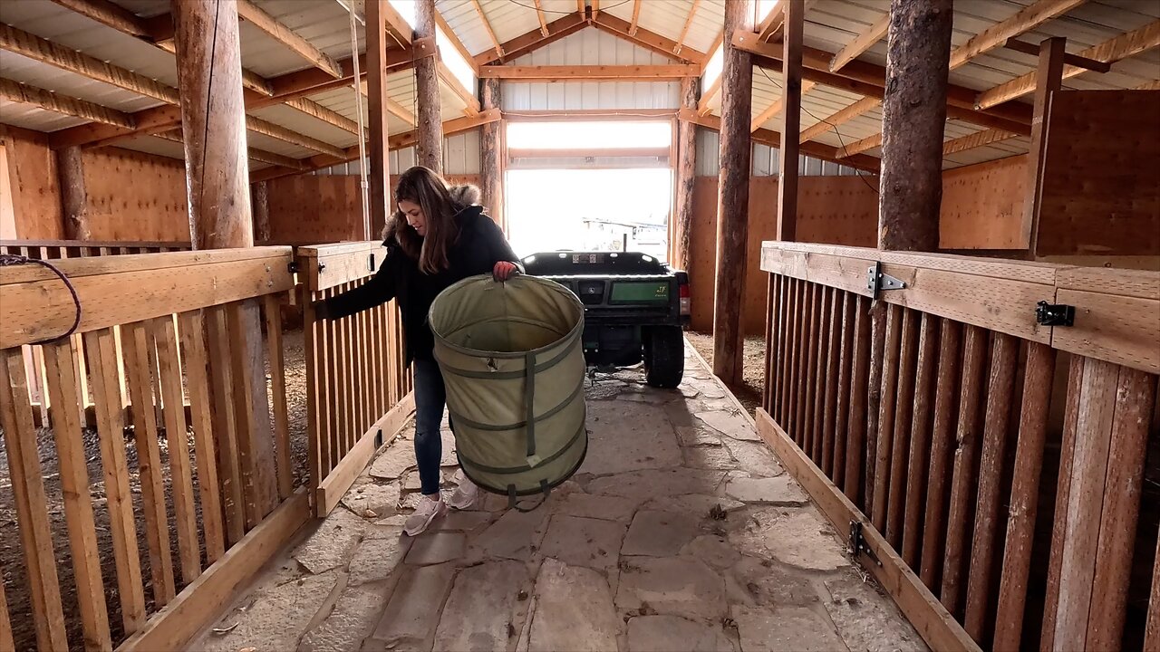 Cleaning Up the New Barn & Adding Potted Blue Spruce Trees! 🐎🪴🌲