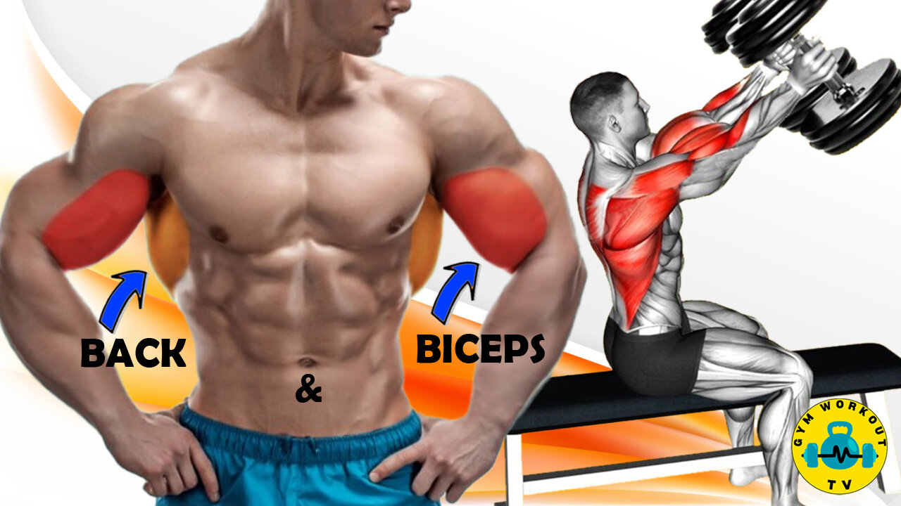 Back and Bicep Workout With Dumbbells