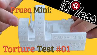 Prusa Mini: Torture Test #01