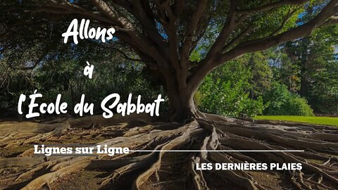 Les Dernières Plaies | Allons à l'École du Sabbat - Leçon 7 Q2 2021