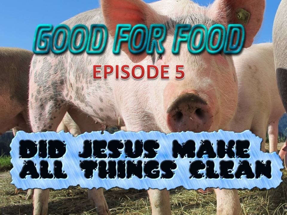 Good For Food episode 5