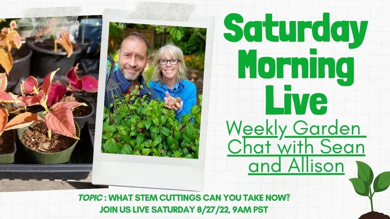 ☕ What Stem Cuttings Can You Take Right NOW! | Saturday Morning LIVE Garden Chat ☕