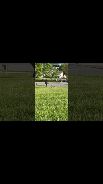 Dog doesn’t want to leave the park