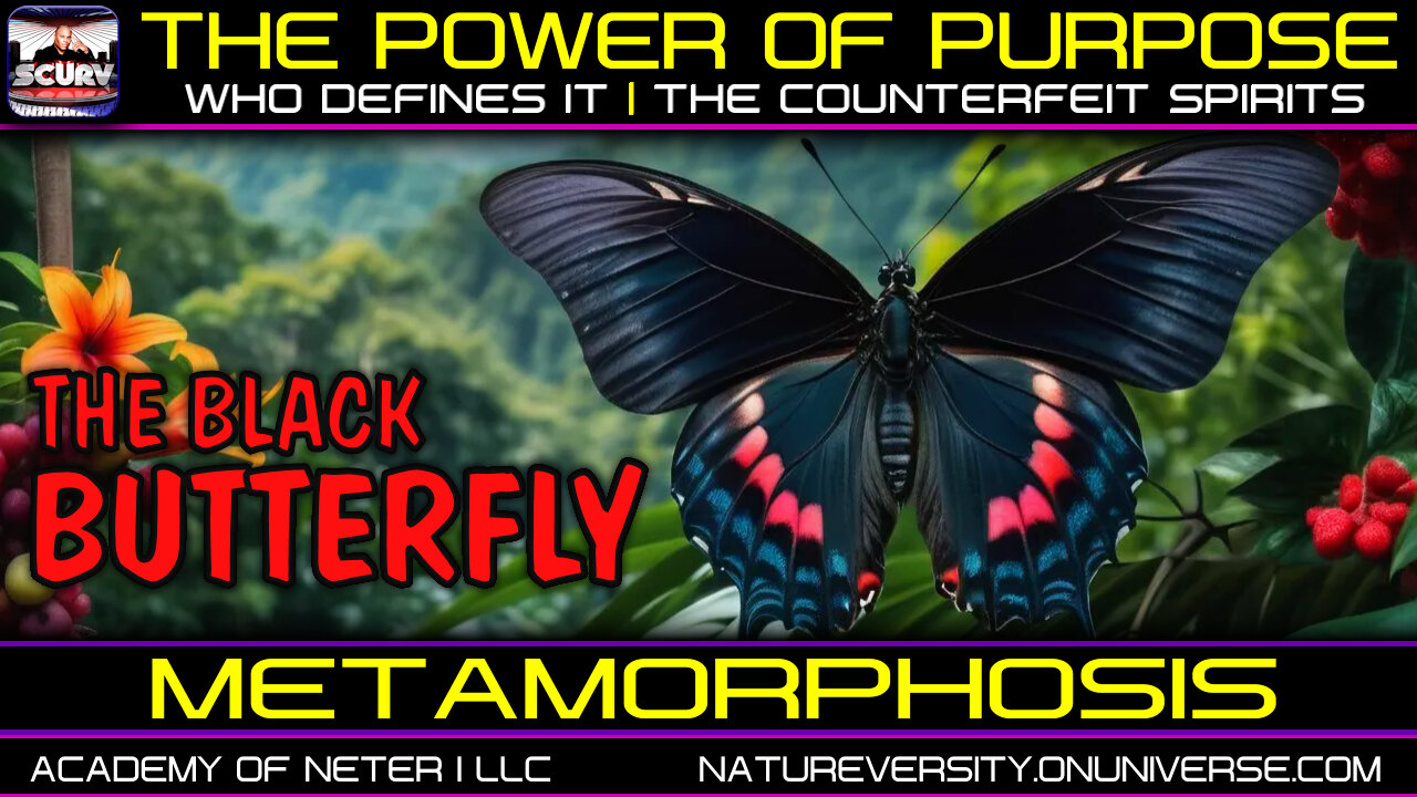 THE POWER OF PURPOSE | WHO DEFINES IT | THE COUNTERFEIT SPIRITS