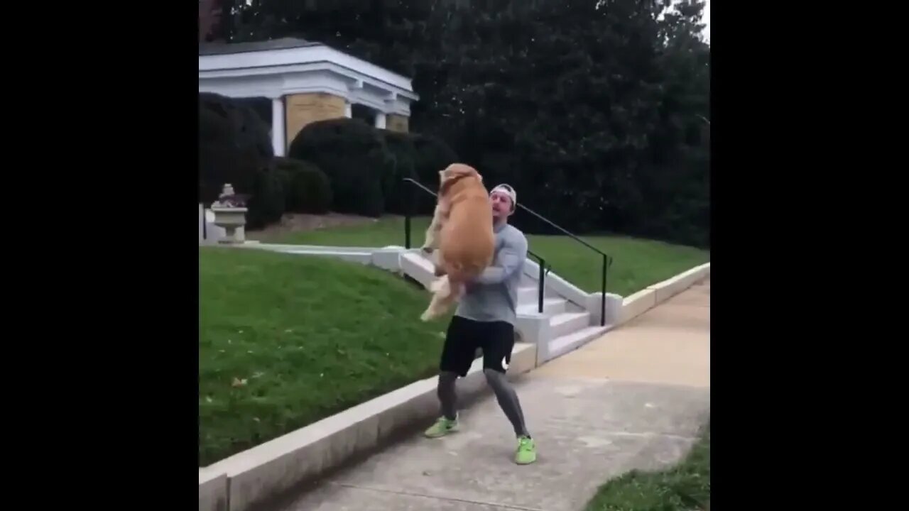 Golden Spots Her Owner