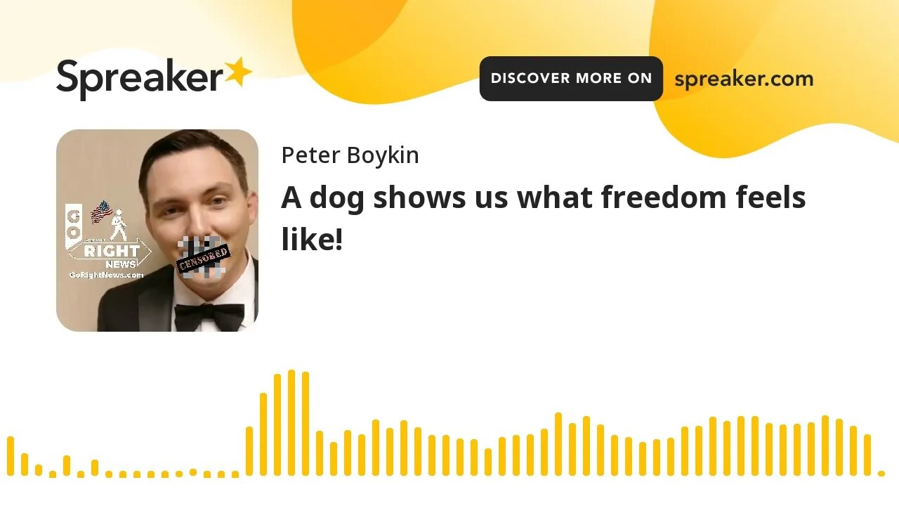 A dog shows us what freedom feels like!
