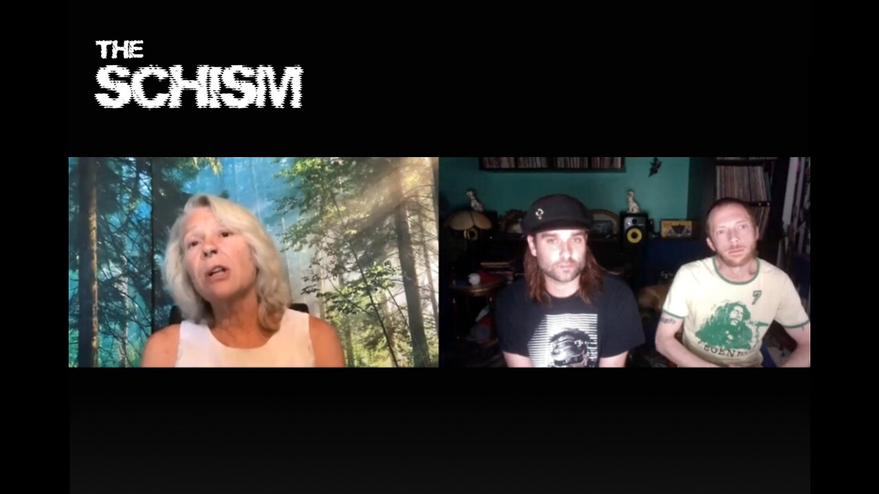 THE SCHISM - CATHY O’BRIEN INTERVIEW: MK ULTRA AND THE MIND CONTROL OF THE MASSES