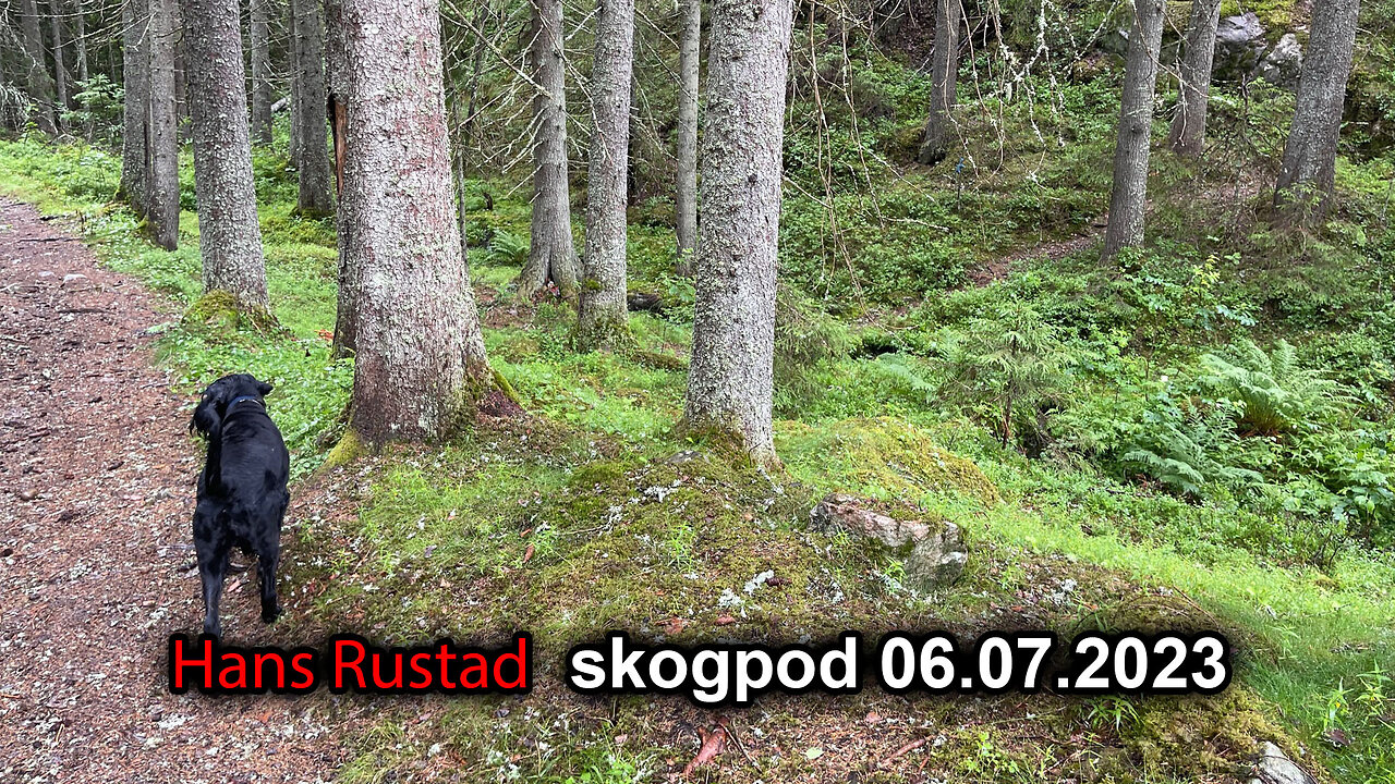 Skogpod 06. juli 2023