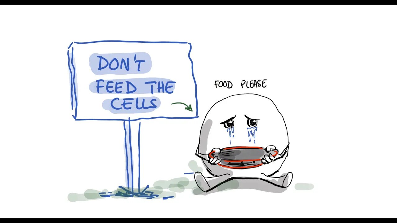 Intermittent Fasting and Potential Immune System Restoration