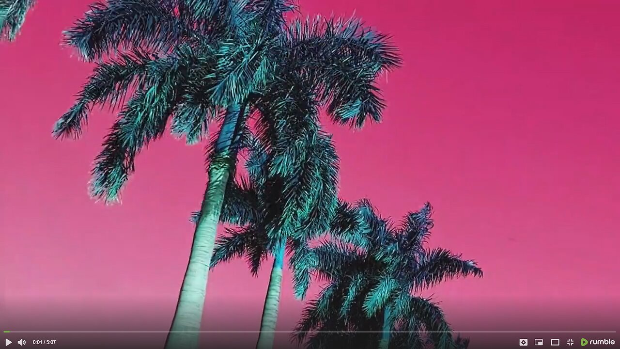 Vice City 2🌴