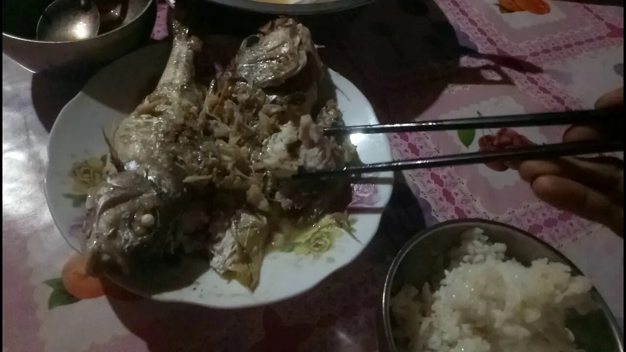 今晚鱼肉鸡肉配白酒还有米饭🍚